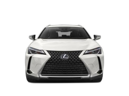 Used 2019 Lexus UX 250h w/ Premium Package AWD/4WD image 4