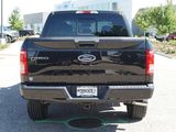 Used 2015 Ford F150 XLT w/ Equipment Group 302A Luxury image 4