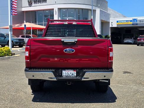 Used 2019 Ford F150 XLT w/ Equipment Group 302A Luxury AWD/4WD image 5