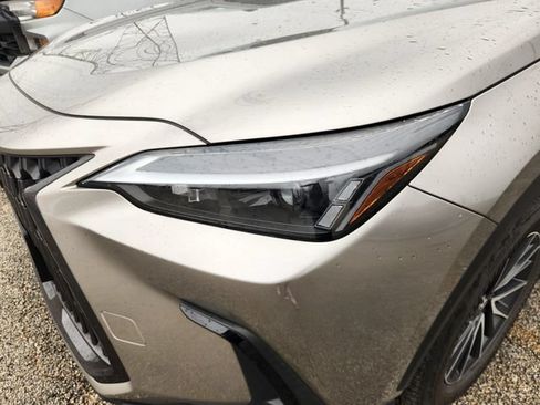 Used 2024 Lexus NX 350h AWD w/ Cold Area Package image 6