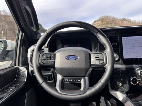 New 2025 Ford F150 Platinum w/ Equipment Group 702A High image 11