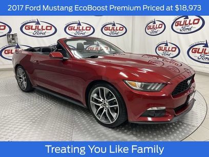 Used 2017 Ford Mustang Premium w/ Equipment Group 201A