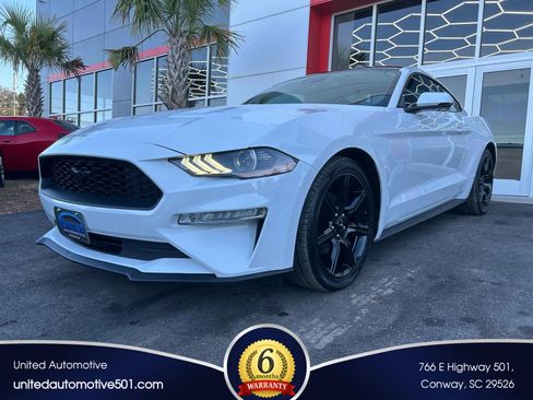 Used 2019 Ford Mustang Premium w/ Equipment Group 201A image 1