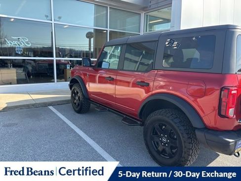 Used 2024 Ford Bronco Black Diamond image 6