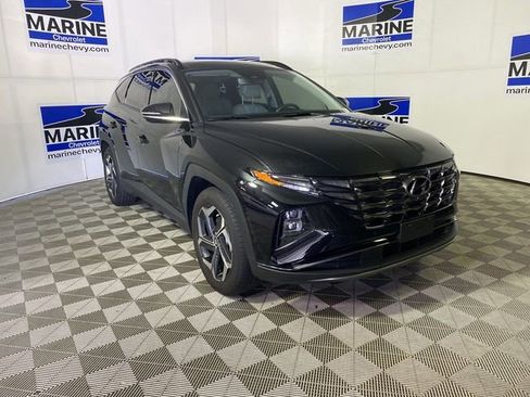 Used 2023 Hyundai Tucson Limited image 1
