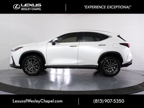 Used 2025 Lexus NX 250 FWD w/ Accessory Package (2T) image 7