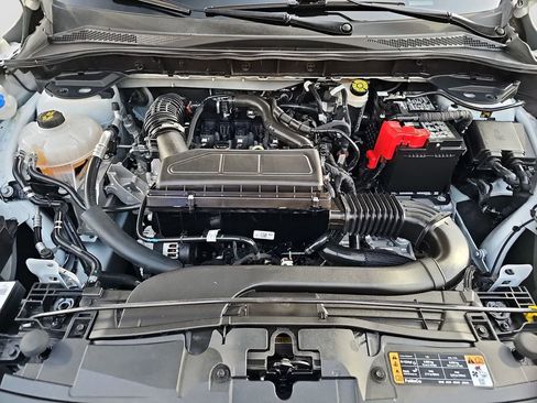 Used 2025 Ford Escape ST-Line w/ Tech Pack #1 image 22