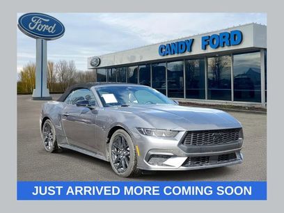 Used 2026 Ford Mustang Convertible w/ Mustang Nite Pony Package