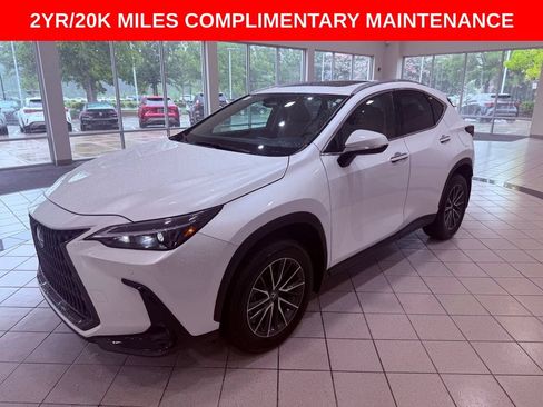 Certified 2025 Lexus NX 350 AWD w/ Accessory Package (K3) image 3