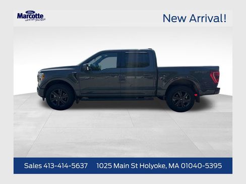 Used 2021 Ford F150 XLT w/ Equipment Group 302A High AWD/4WD image 1