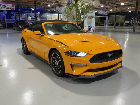 Used 2019 Ford Mustang Premium w/ Equipment Group 201A RWD image 3