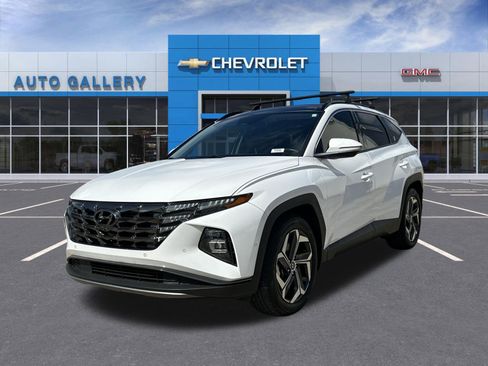 Used 2024 Hyundai Tucson Limited FWD image 1