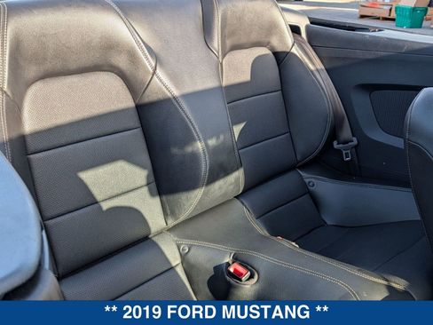 Certified 2019 Ford Mustang Premium image 15