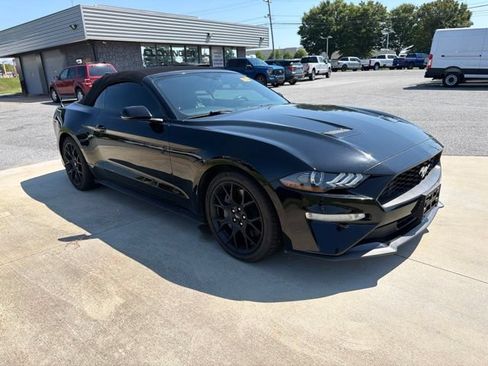 Used 2019 Ford Mustang Premium w/ Ecoboost Performance Package RWD image 3