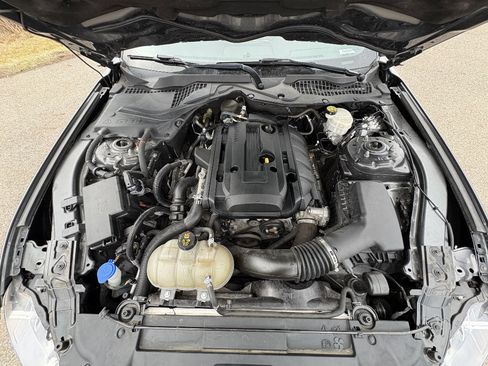 Used 2020 Ford Mustang Premium w/ Pony Package image 13