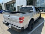 Used 2013 Ford F150 XLT w/ Luxury Equipment Group image 4