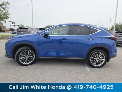 Used 2025 Lexus NX 350h AWD w/ Accessory Package (2T) image 13