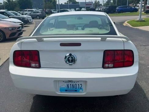 Used 2006 Ford Mustang Coupe RWD image 4