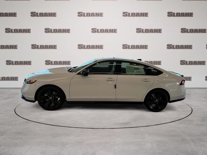 New 2026 Honda Accord Sport