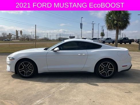 Used 2021 Ford Mustang Coupe w/ Equipment Group 101A image 4
