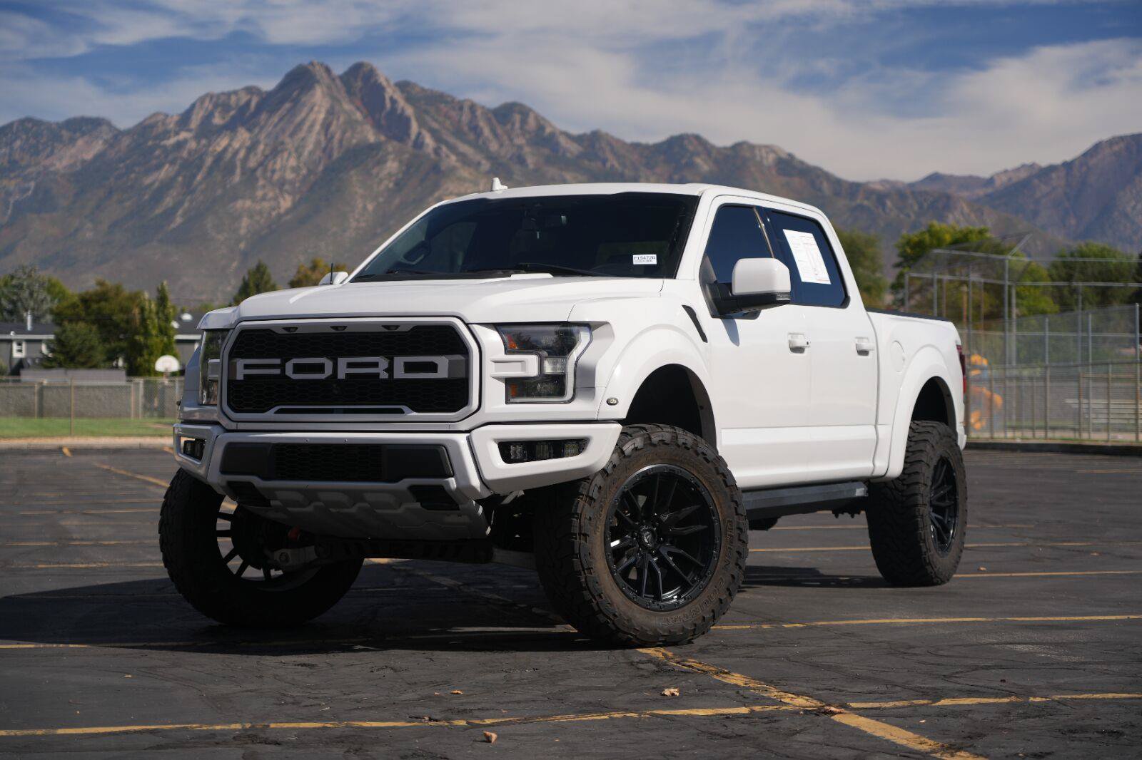 Used 2019 Ford F150 Raptor w/ Equipment Group 802A Luxury AWD/4WD image 1