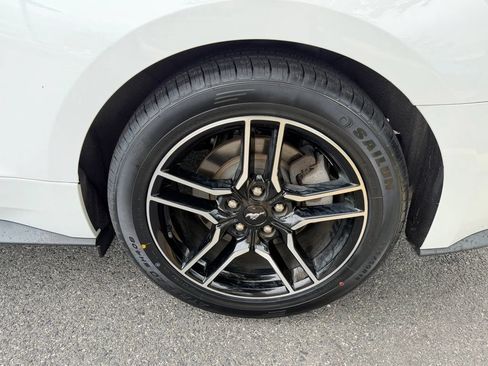 Used 2019 Ford Mustang Coupe w/ Equipment Group 101A RWD image 14