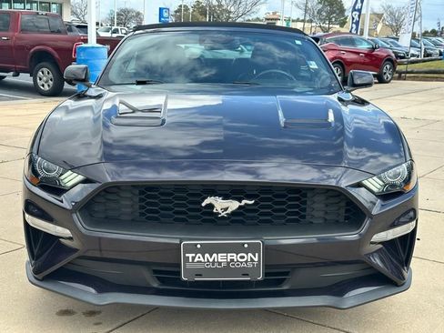 Used 2023 Ford Mustang Premium RWD image 2