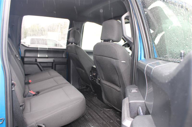 Used 2019 Ford F150 XLT w/ Equipment Group 302A Luxury AWD/4WD image 11