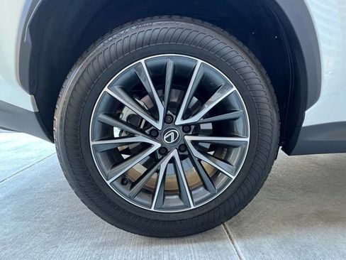 Used 2025 Lexus NX 350 AWD w/ Cold Area Package image 13