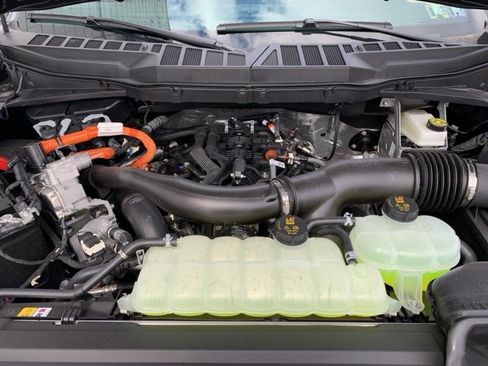 New 2025 Ford F150 XLT w/ Equipment Group 302A MID image 15