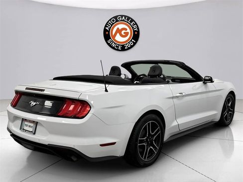 Used 2019 Ford Mustang Premium image 13