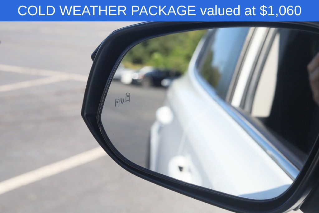 Used 2018 Toyota RAV4 Adventure w/ Cold Weather Package AWD/4WD image 4