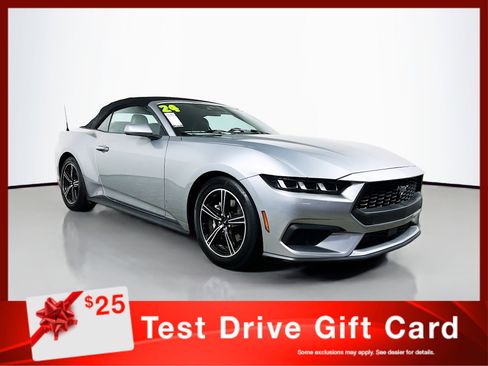 Used 2024 Ford Mustang Premium image 1