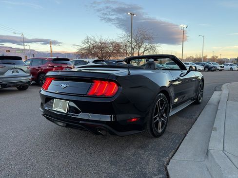 Used 2023 Ford Mustang Premium w/ Equipment Group 201A image 6