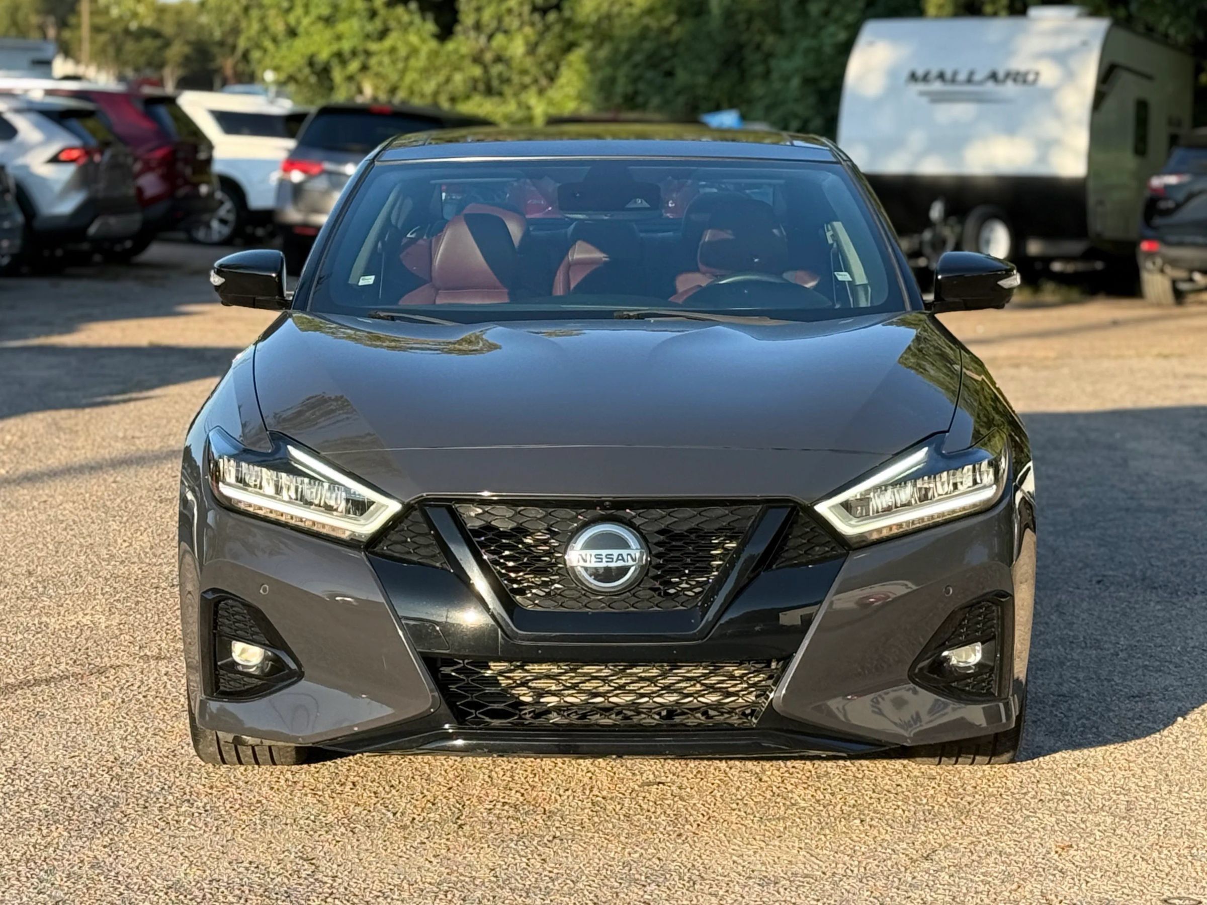 Used 2021 Nissan Maxima Platinum w/ 40th Anniversary Package FWD image 3