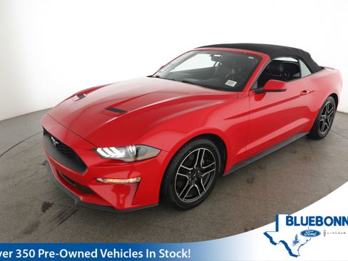 Used 2018 Ford Mustang Premium w/ Equipment Group 201A image 1