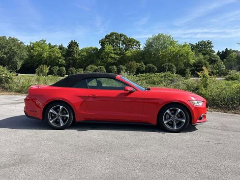 Used 2015 Ford Mustang Convertible w/ Equipment Group 051A RWD image 2