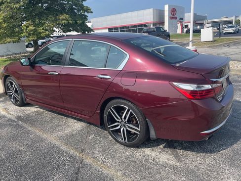 Used 2017 Honda Accord Sport Special Edition image 6