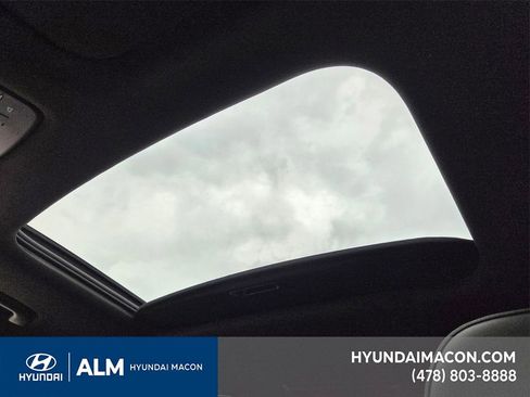 New 2026 Hyundai Palisade Calligraphy image 19