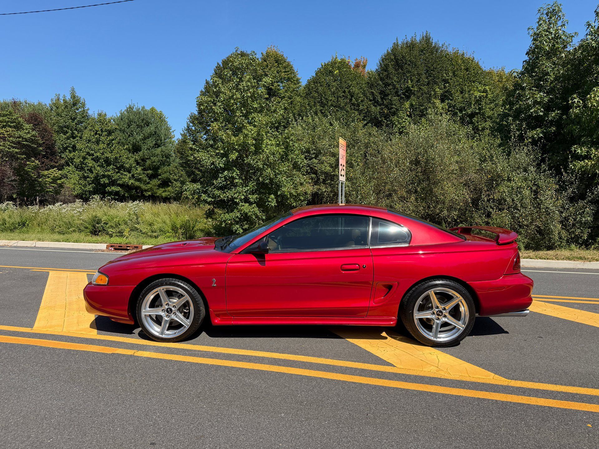 Used 1996 Ford Mustang Cobra RWD image 7