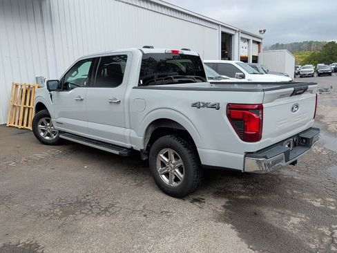 Used 2024 Ford F150 XLT w/ Mobile Office Package image 4