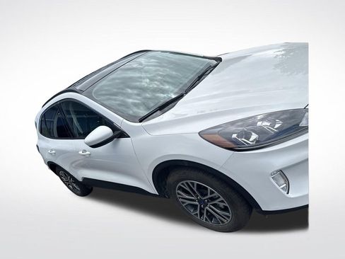 Used 2020 Ford Escape SEL AWD/4WD image 5