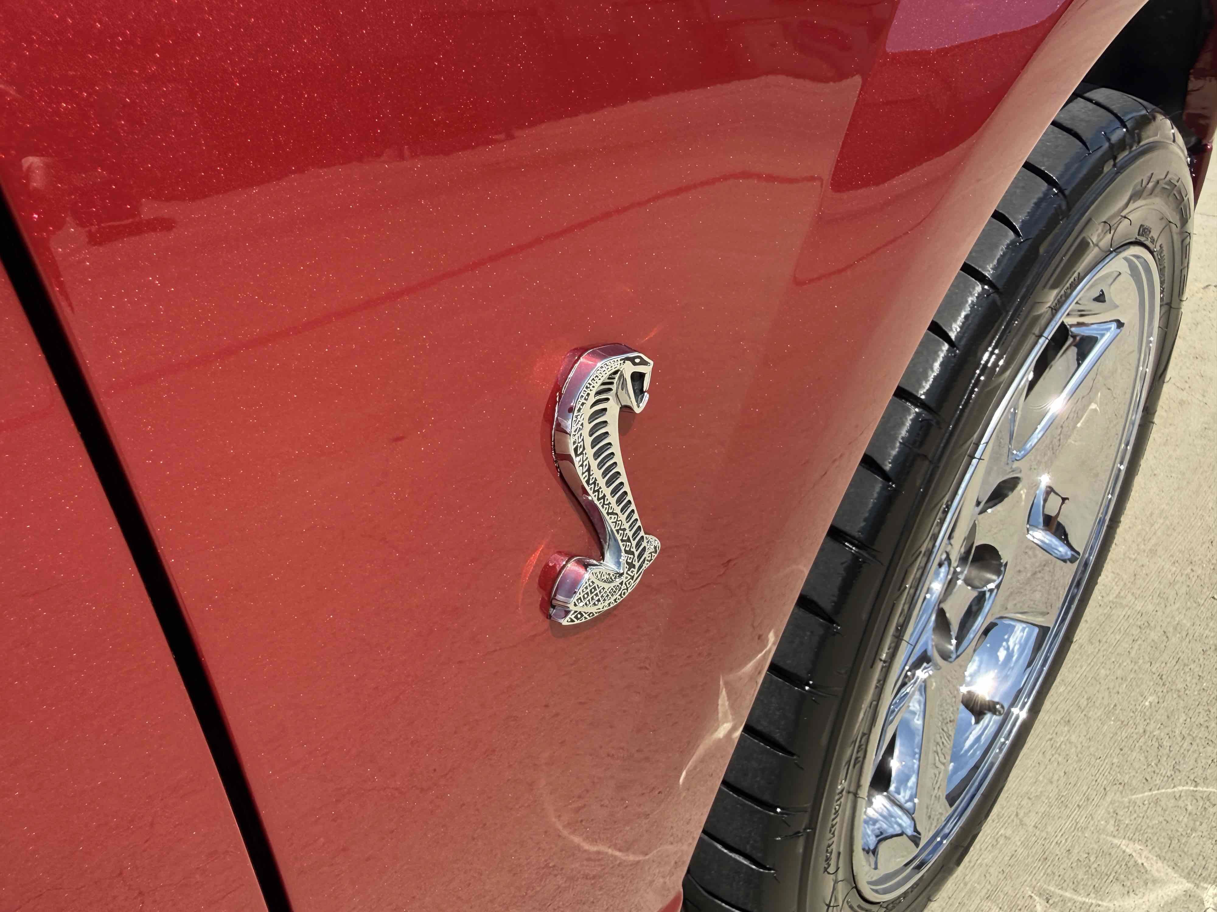 Used 2003 Ford Mustang Cobra RWD image 50