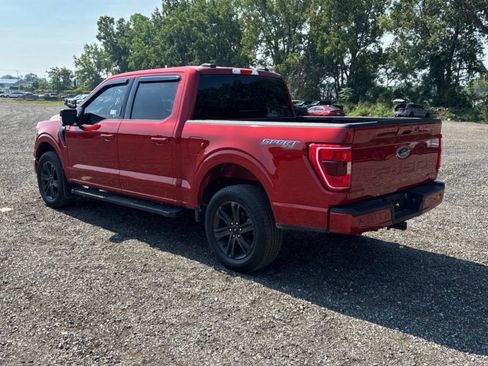 Used 2023 Ford F150 XLT w/ Equipment Group 302A High AWD/4WD image 3