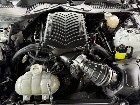 Used 2023 Ford Mustang GT Premium w/ Equipment Group 401A RWD image 50