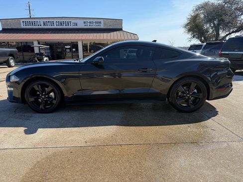 Used 2023 Ford Mustang Premium w/ Mustang Nite Pony Package image 4