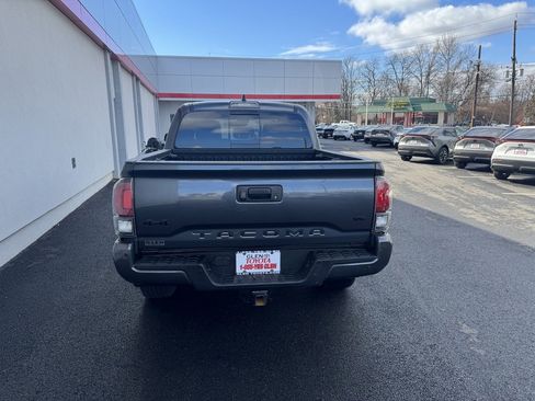 Used 2023 Toyota Tacoma Limited w/ Nightshade Package image 7