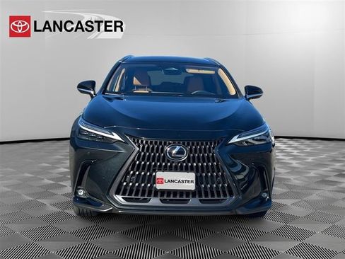 Used 2024 Lexus NX 350h 350h Luxury w/ Vision Package image 2