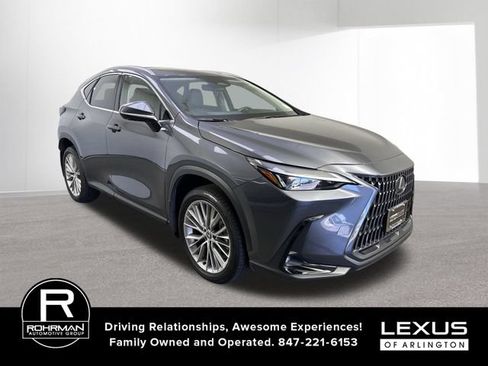 Certified 2025 Lexus NX 350 AWD w/ Cold Area Package image 3
