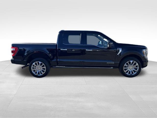 Used 2023 Ford F150 Limited AWD/4WD image 2
